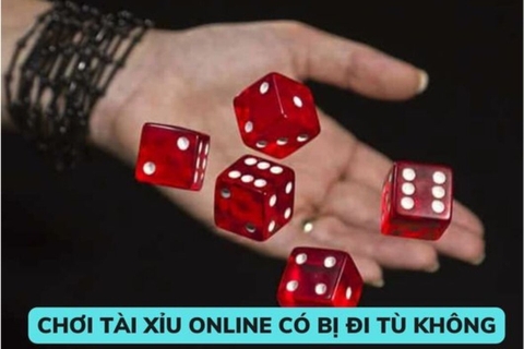 Chơi tài xỉu online có phải là hành vi vi phạm pháp luật không?