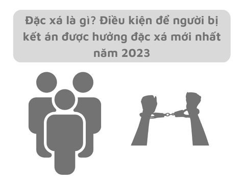 Đặc xá là gì? Điều kiện để người bị kết án được hưởng đặc xá mới nhất.