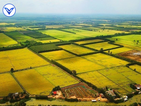 Đất nông nghiệp không sử dụng có bị thu hồi không?