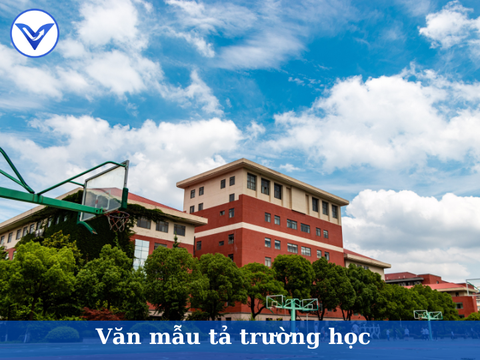 Tuyển tập văn mẫu tả trường học hay nhất