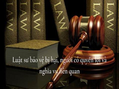 Vai trò của Luật sư bảo vệ quyền và lợi ích hợp pháp cho bị hại, đương sự trong Vụ án Hình Sự.