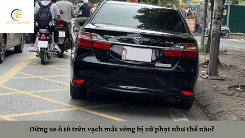 Dừng xe ô tô trên vạch mắt võng bị xử phạt như thế nào?