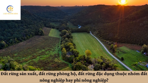 Đất rừng sản xuất, đất rừng phòng hộ, đất rừng đặc dụng thuộc nhóm đất nông nghiệp hay phi nông nghiệp?
