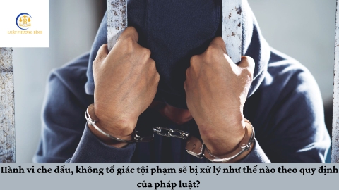 Hành vi che dấu, không tố giác tội phạm giết người sẽ bị xử lý như thế nào theo quy định của pháp luật?