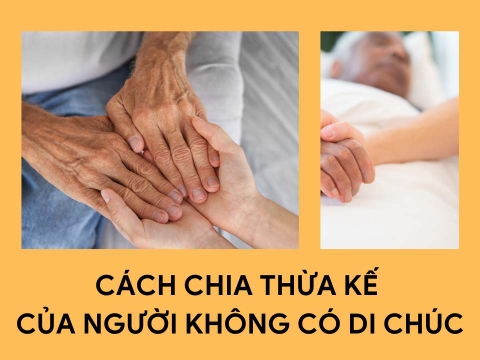 Cách Chia Thừa Kế Không Có Di Chúc - Ý Kiến Tư Vấn Từ Luật Sư Việt