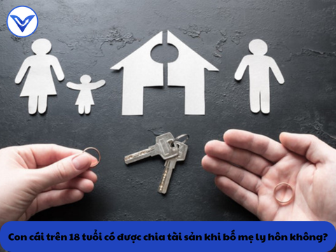 Con cái trên 18 tuổi có được chia tài sản khi bố mẹ ly hôn không?
