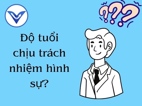 Độ tuổi chịu trách nhiệm hình sự theo Bộ luật Hình sự 2015 |Luật sư hình sự | VietLawyer