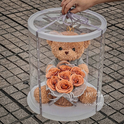 Gấu Teddy Ôm Hoa Ecuador Cam 35cm Fullbox Mica trong+Vương Miện