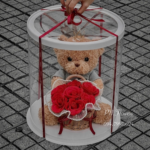 Gấu Teddy Ôm Hoa Ecuador Đỏ 35cm Fullbox Mica trong+Vương Miện