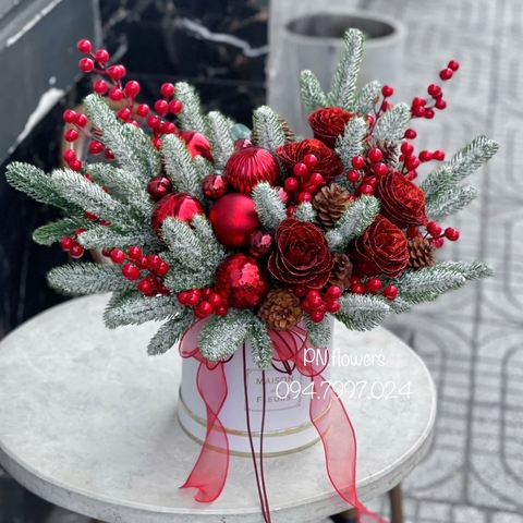 Chậu hoa sáp noel mix lá thông
