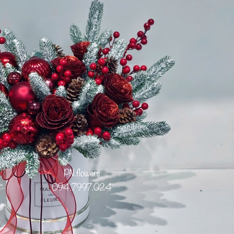 Chậu hoa sáp noel mix lá thông