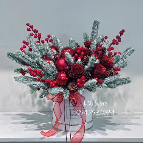 Chậu hoa sáp noel mix lá thông