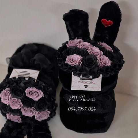 Hoa Sáp Tai Thỏ Đen