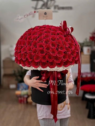 Chậu Hoa Sáp Ecuador Cao Cấp Siêu To