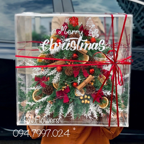 Hộp Cây Thông Noel Mix Có Đèn