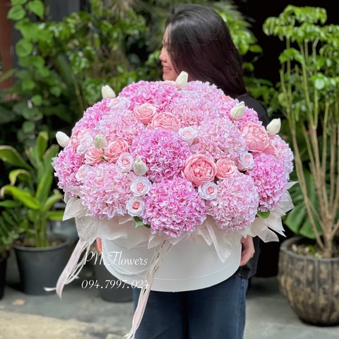 Chậu Hoa Cẩm Tú Cầu Lụa Mix Tone Hồng