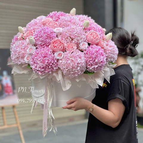 Chậu Hoa Cẩm Tú Cầu Lụa Mix Tone Hồng