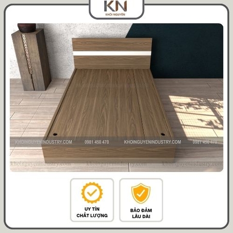 GIƯỜNG TIÊU CHUẨN/ GTC-KN-04