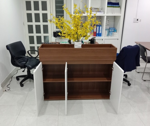 Tủ hồ sơ để cây trang trí/ THSC-KN-03