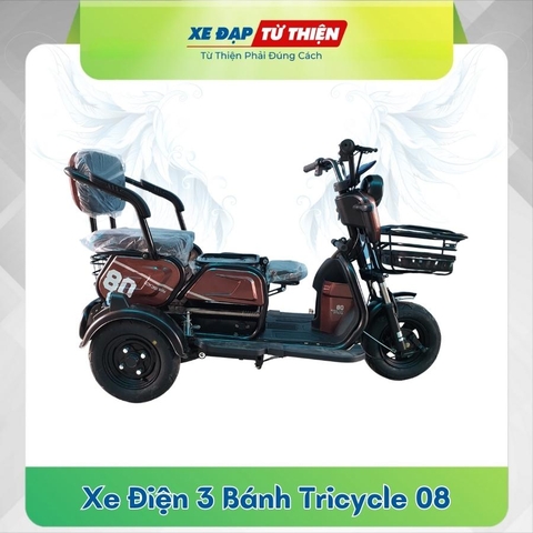 Xe Điện 3 Bánh Tricycle 08