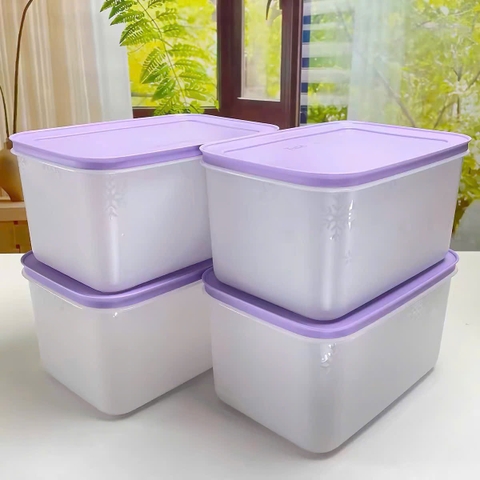 SET 4 HỘP TUP ĐÔNG DẺO DUNG TÍCH 2.5 lít T26090301