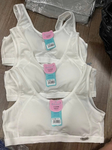1 SET 3 ÁO LÁ HỌC SINH ĐỆM NGỰC THÔNG HƠi C26071230