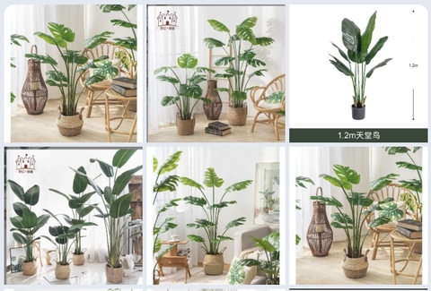 Cây giả tranh trí nhà cửa CN26042231