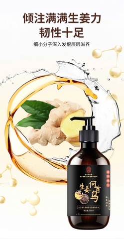 Set 2 DẦU GỘI GỪNG HÀ THỦ Ô ĐỒNG NHÂN ĐƯỜNG C25111602