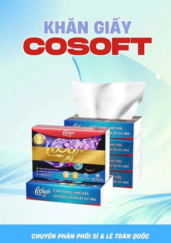1 Hộp Khăn giấy đa năng Cosoft CN26070932
