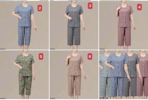 BỘ CỘC TAY CÀI CÚC TRUNG NIÊN T26961901