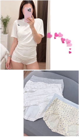 Set 5 quần chip đùi hoa nhí TQ26070853