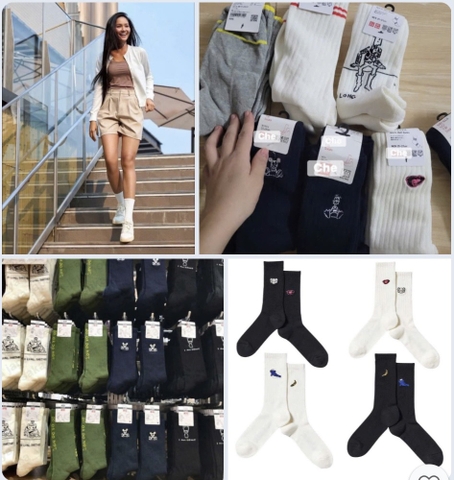 Combo 10 đôi tất cao cổ C25101605