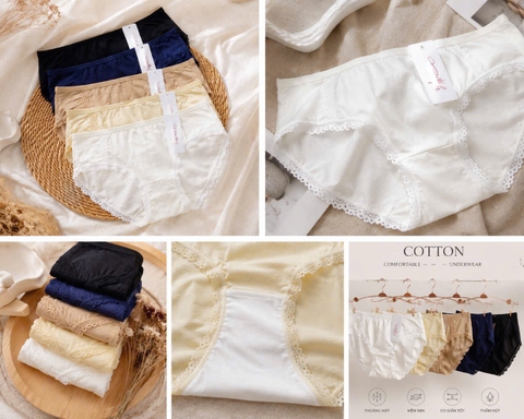 SET 5 QUẦN LÓT HÀNG HIỆU Triu C26080731