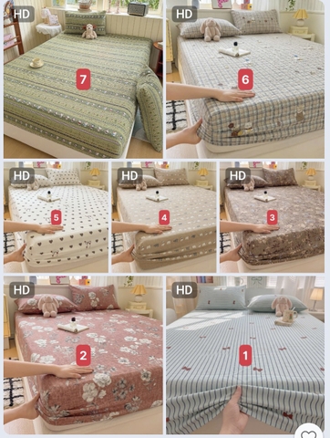 Set ga gối 3 món ga và vỏ gối C26101438