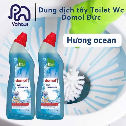 TẨY TOILET ĐỨC DOMOL 750ML CL26102430