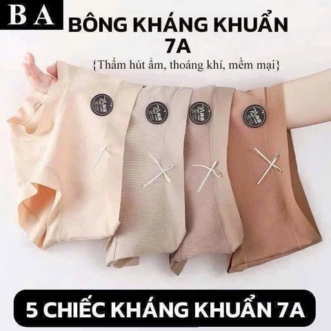 Set 10 QUẦN LÓT COTTON 7A HN26051445
