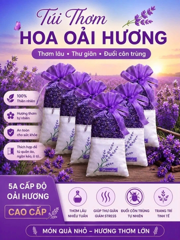 Combo 5 túi hoa oải hương 5A Tân Cương C26080106
