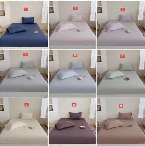 Bộ ga chun và vỏ gối C26061430
