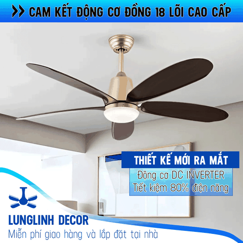 Quạt trần hiện đại 5 Cánh ABS chống bụi vân gỗ - DC Inverter G597
