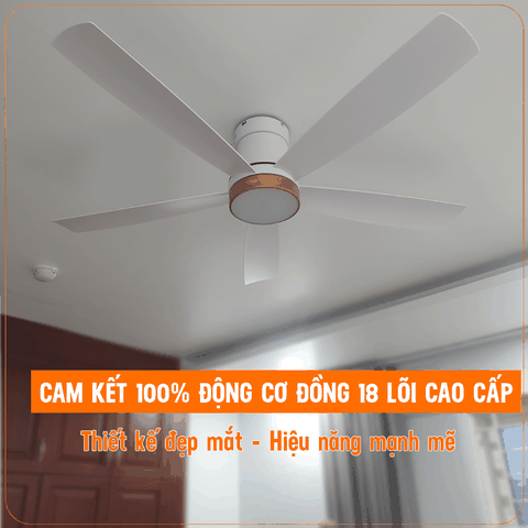 Quạt trần dành cho không gian vừa và nhỏ - 5 Cánh ABS chống bụi- DC Inverter G584