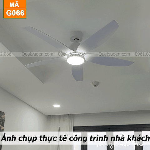 Quạt trần đèn Hiện đại – 5 Cánh – Cánh ABS – DC Inverter – Mã G066