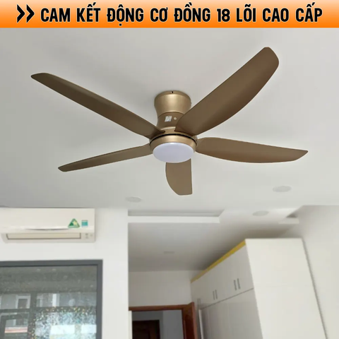 Quạt trần hiện đại, thiết kế độc đáo, phù hợp chung cư, nhà phố - Model 902