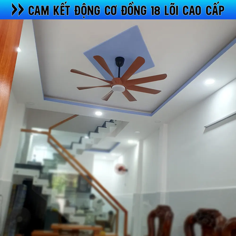 Quạt trần đèn Hiện đại – 8 Cánh – Cánh ABS – DC Inverter 80W Mã G568