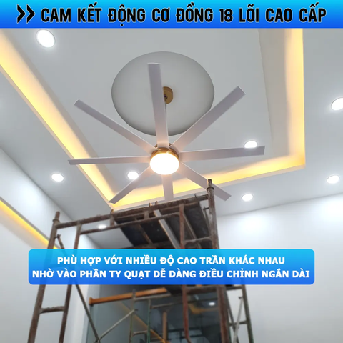 Quạt trần đèn Hiện đại – 8 Cánh – Cánh ABS – DC Inverter 85W Mã G576