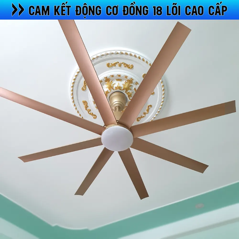 Quạt trần 8 Cánh ABS siêu gió – DC Inverter 85W Mã G587