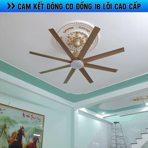 Quạt trần 8 Cánh ABS siêu gió – DC Inverter 85W Mã G587