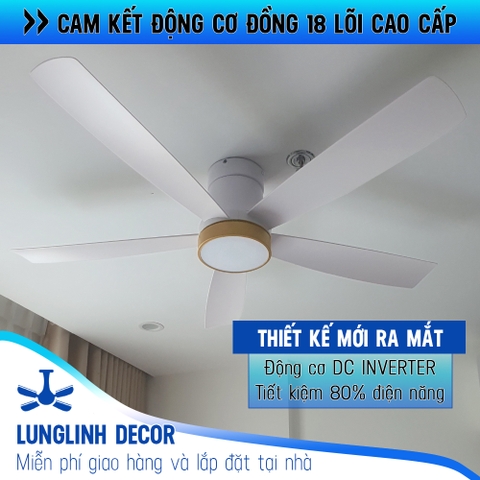 Quạt trần dành cho không gian vừa và nhỏ - 5 Cánh ABS chống bụi- DC Inverter G584