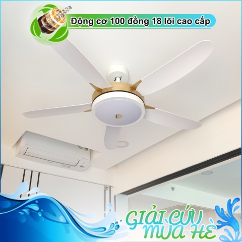 Quạt trần 5 Cánh ABS hiện đại - Golden Ring DC Inverter – Mã G564
