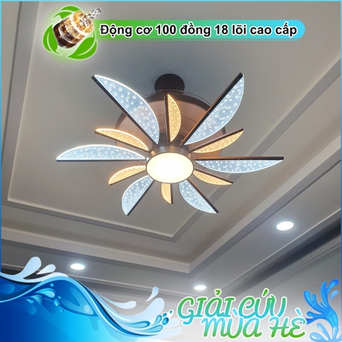 Quạt trần đèn trang trí - Dấu cánh Acrylic – DC Inverter – Mã G518