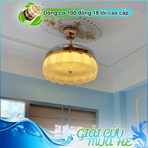 Quạt trần trang trí - Cánh xếp – Cánh Acrylic – DC Inverter – Mã G509